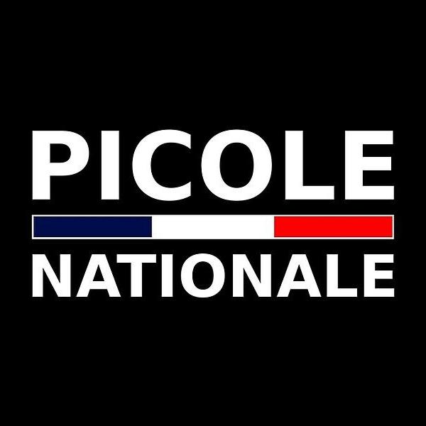 La Polisse Nationalle 